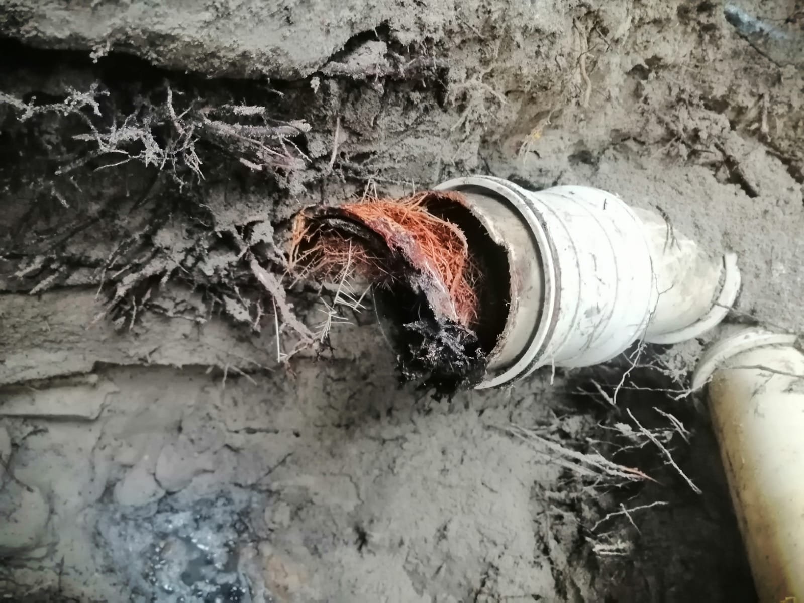 Drain unclogging service