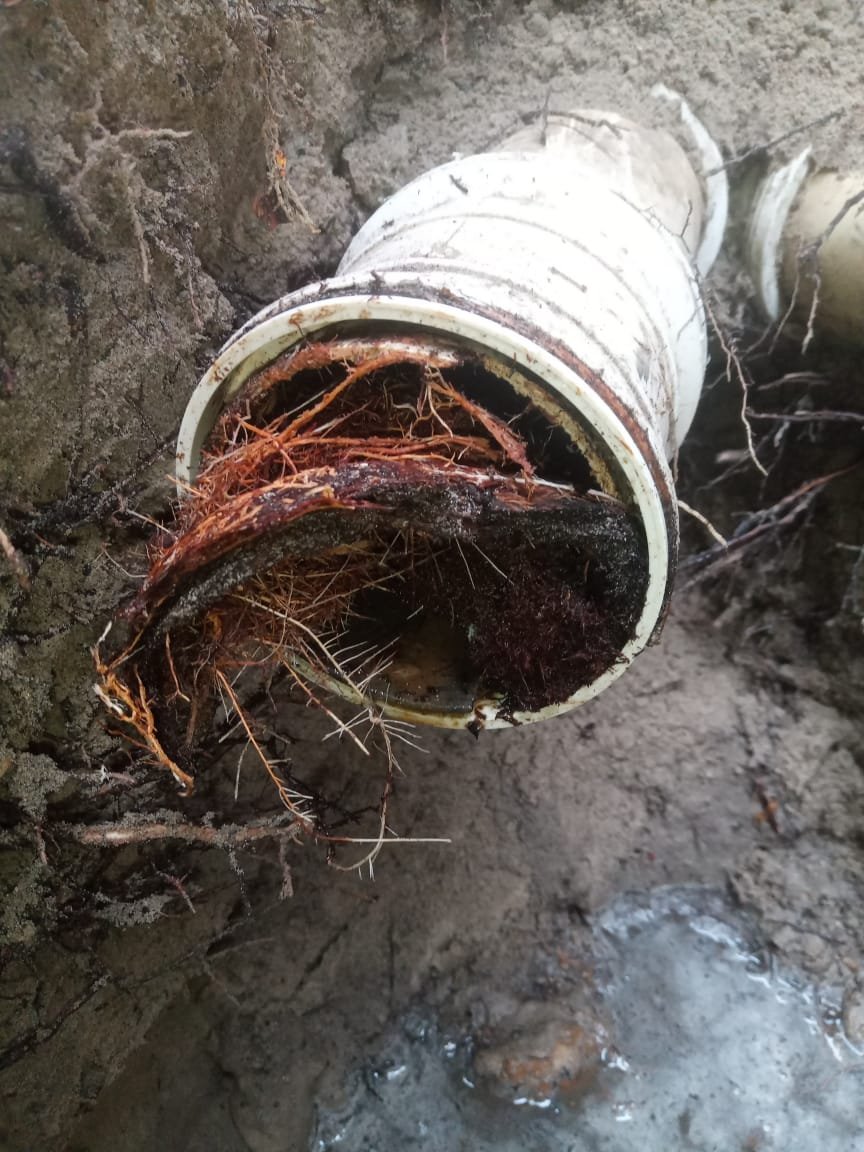 Professional drain cleaning