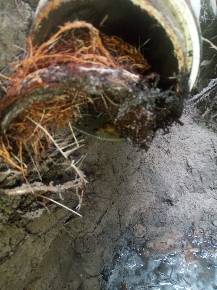 Drain maintenance service