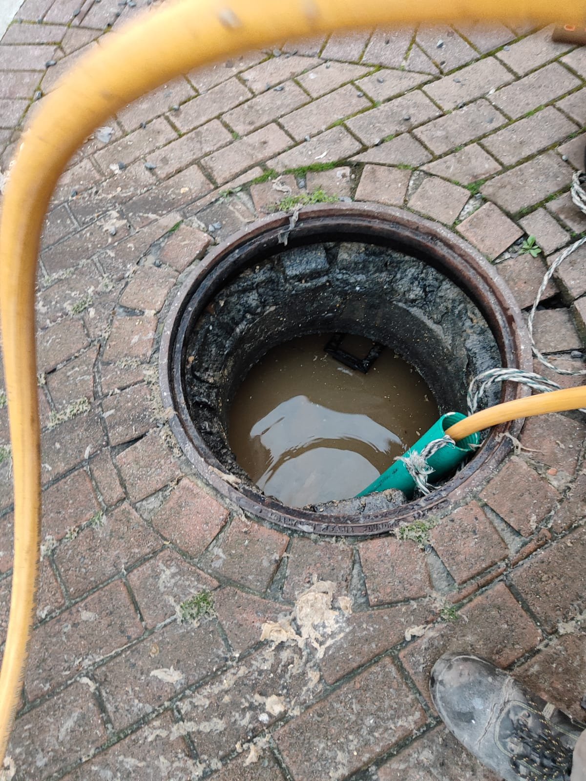 Professional plumbing diagnosis